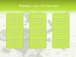 Nobody Root Rise PowerPoint Template