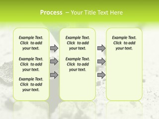 Nobody Root Rise PowerPoint Template