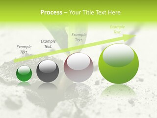 Nobody Root Rise PowerPoint Template