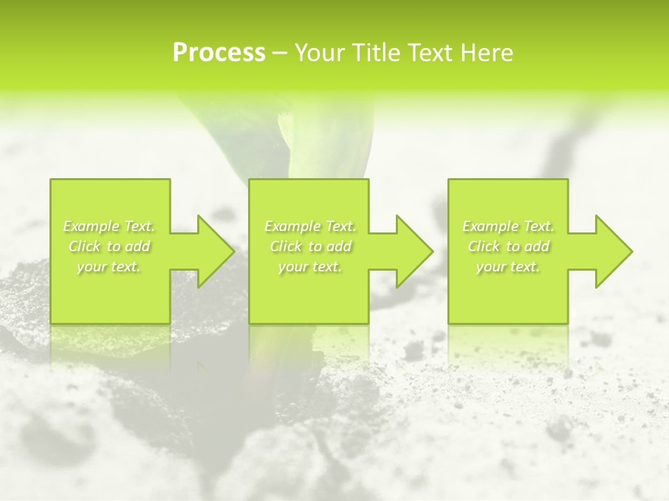 Nobody Root Rise PowerPoint Template