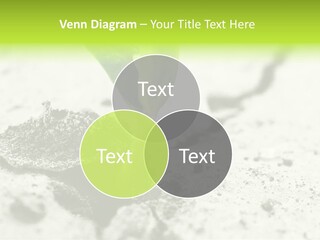 Nobody Root Rise PowerPoint Template