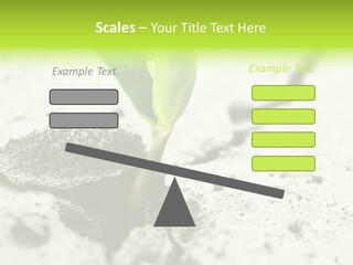Nobody Root Rise PowerPoint Template
