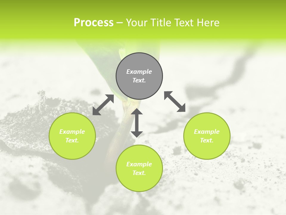 Nobody Root Rise PowerPoint Template