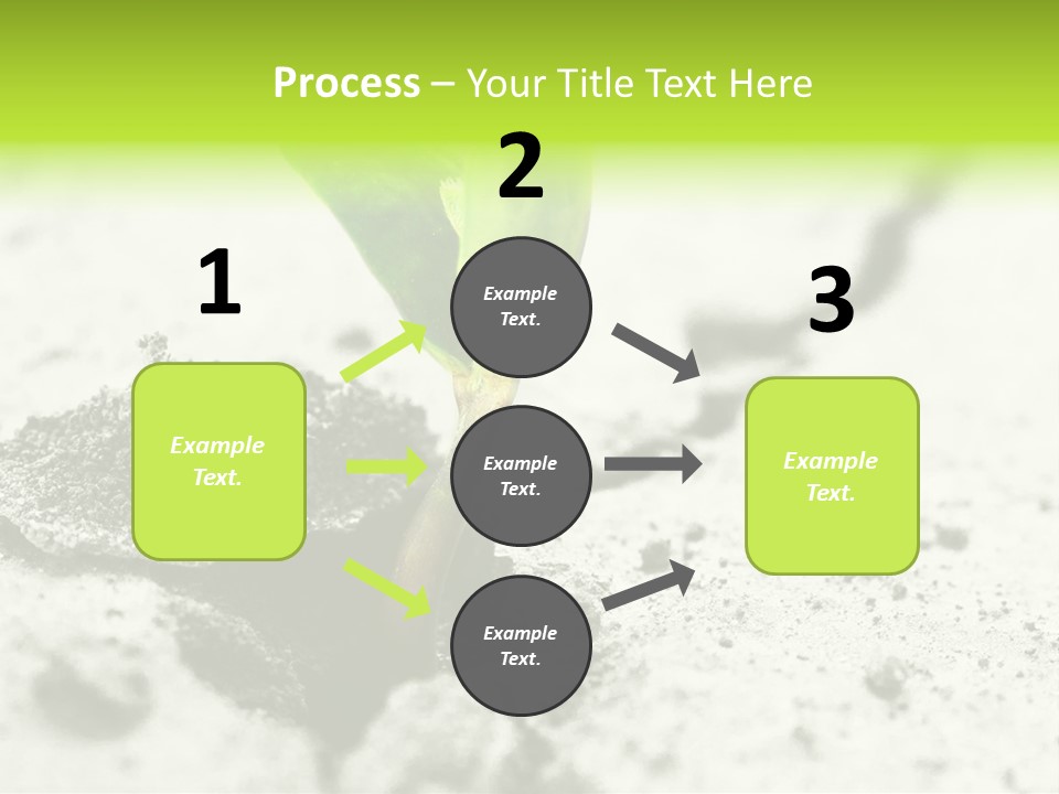 Nobody Root Rise PowerPoint Template