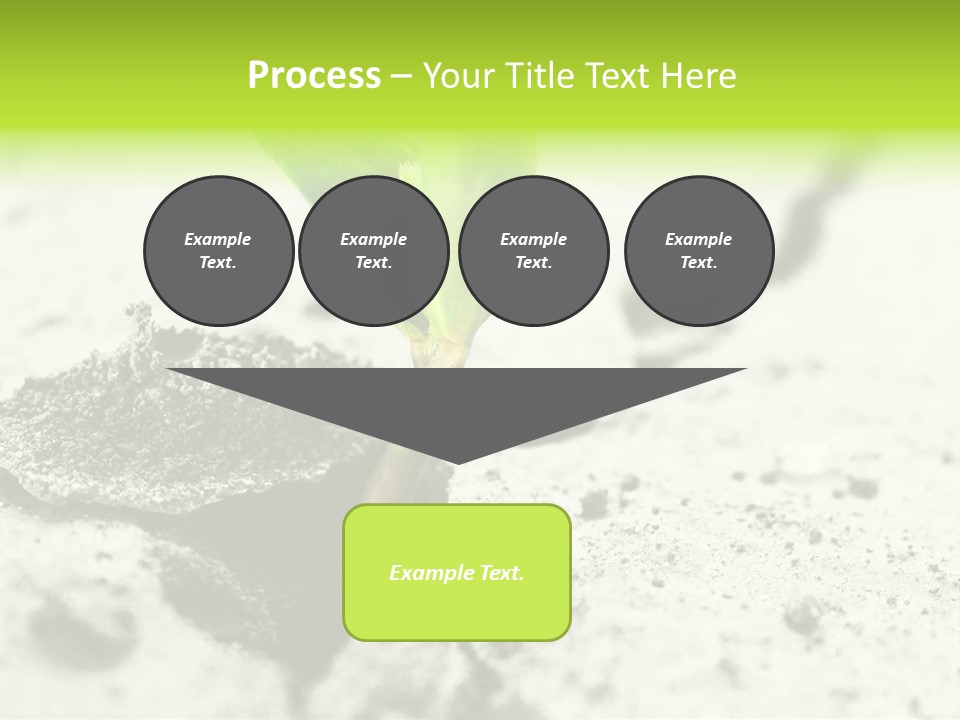 Nobody Root Rise PowerPoint Template