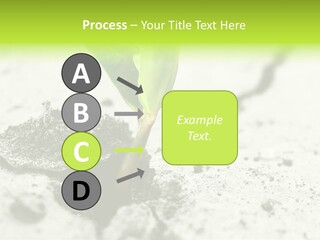 Nobody Root Rise PowerPoint Template