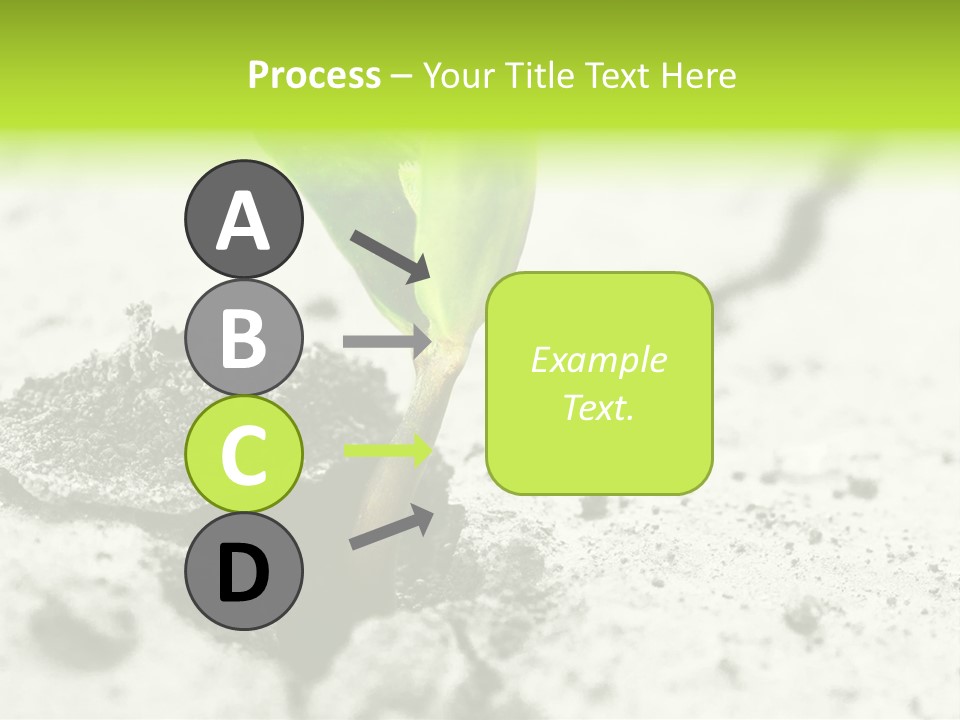 Nobody Root Rise PowerPoint Template
