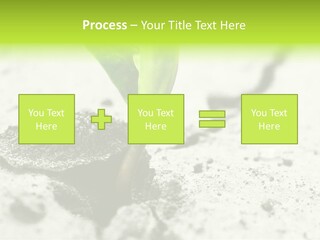 Nobody Root Rise PowerPoint Template