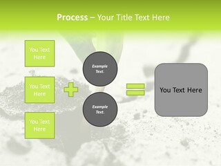 Nobody Root Rise PowerPoint Template