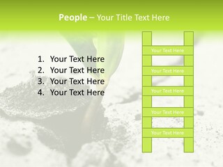 Nobody Root Rise PowerPoint Template