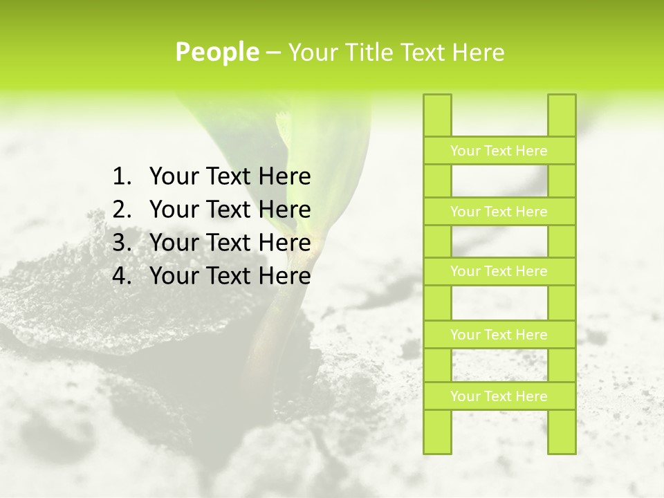 Nobody Root Rise PowerPoint Template