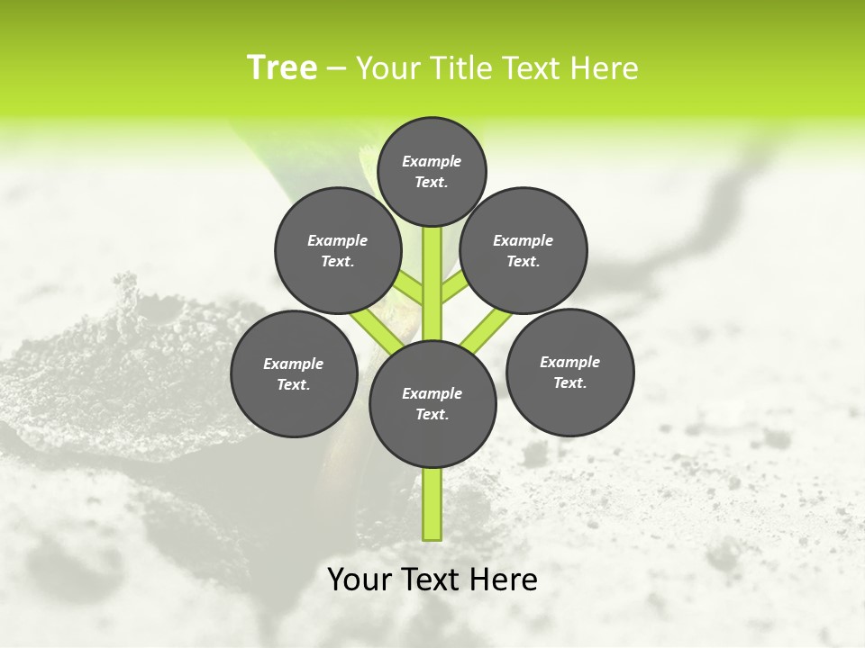 Nobody Root Rise PowerPoint Template