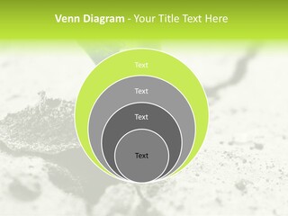 Nobody Root Rise PowerPoint Template