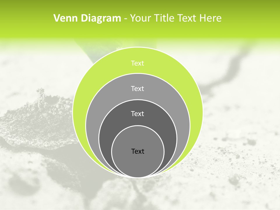 Nobody Root Rise PowerPoint Template