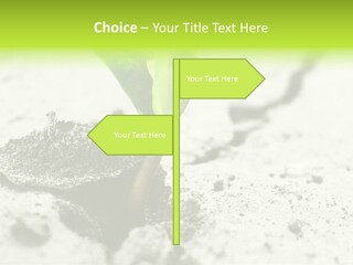 Nobody Root Rise PowerPoint Template