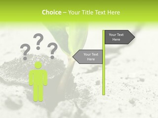 Nobody Root Rise PowerPoint Template