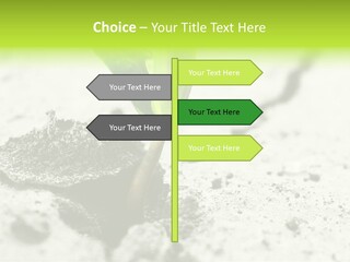 Nobody Root Rise PowerPoint Template