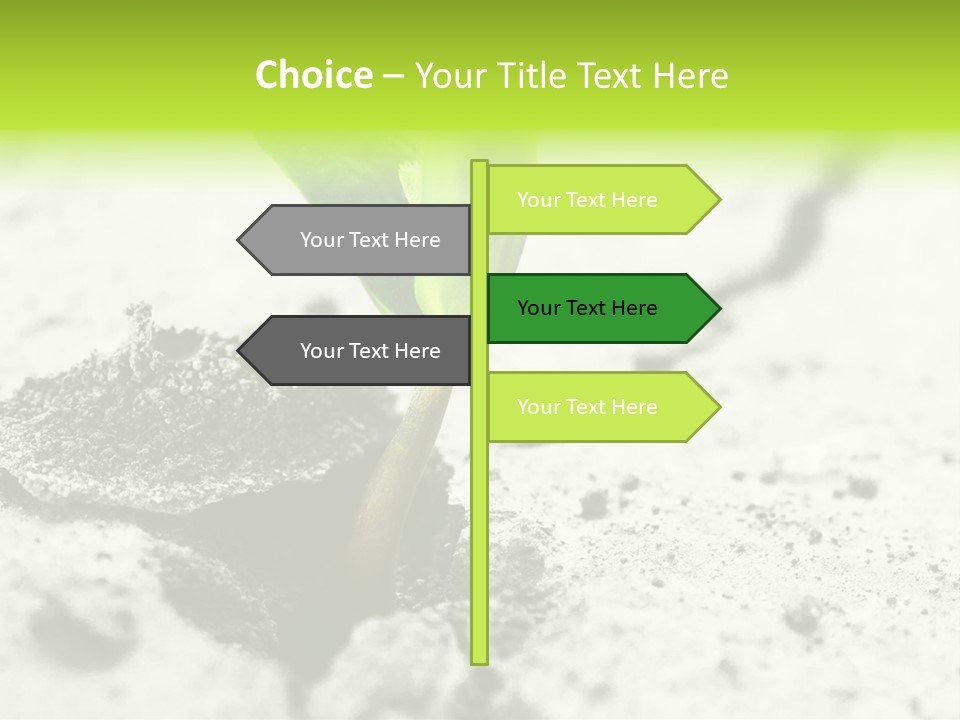 Nobody Root Rise PowerPoint Template
