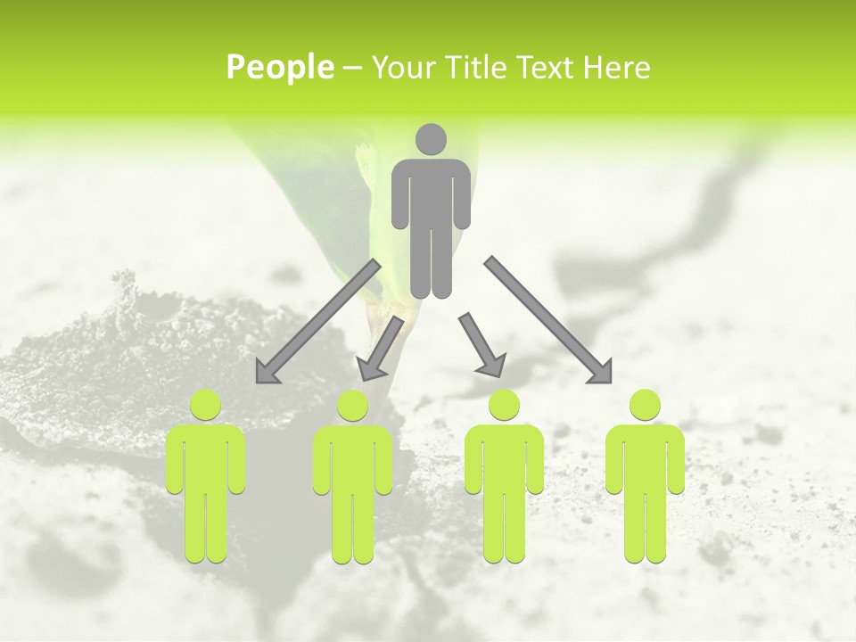 Nobody Root Rise PowerPoint Template