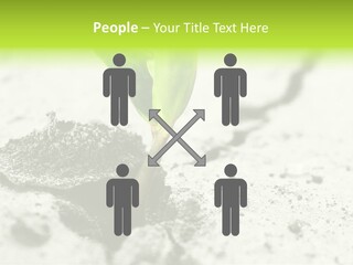 Nobody Root Rise PowerPoint Template