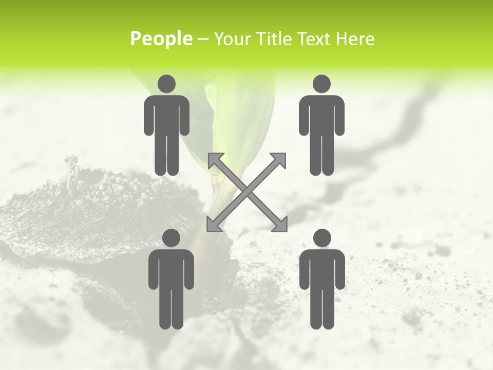 Nobody Root Rise PowerPoint Template