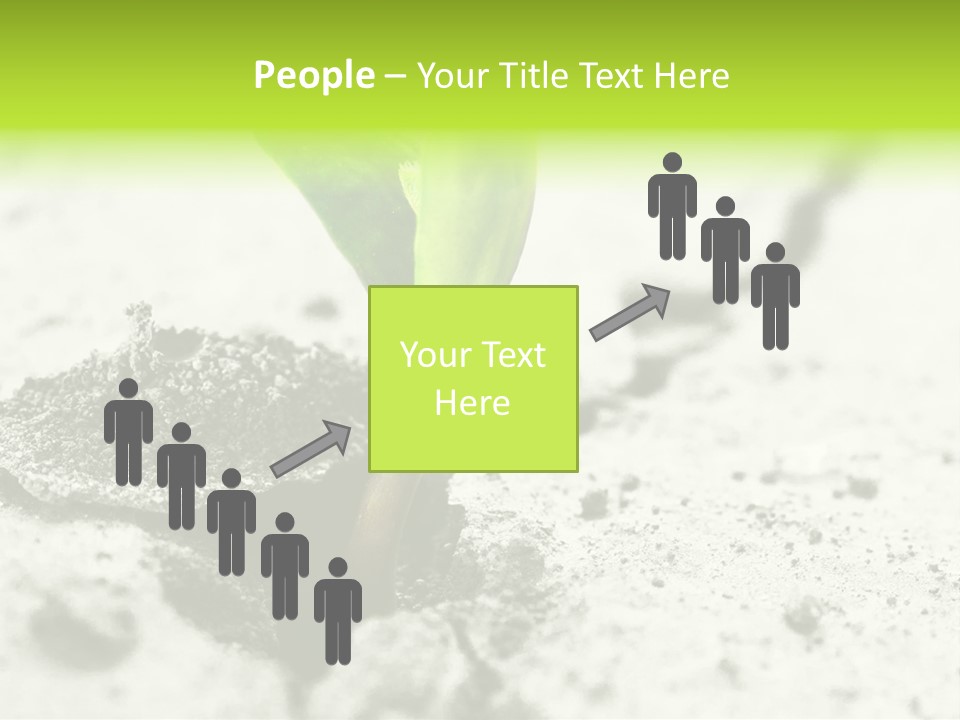 Nobody Root Rise PowerPoint Template