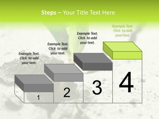 Nobody Root Rise PowerPoint Template