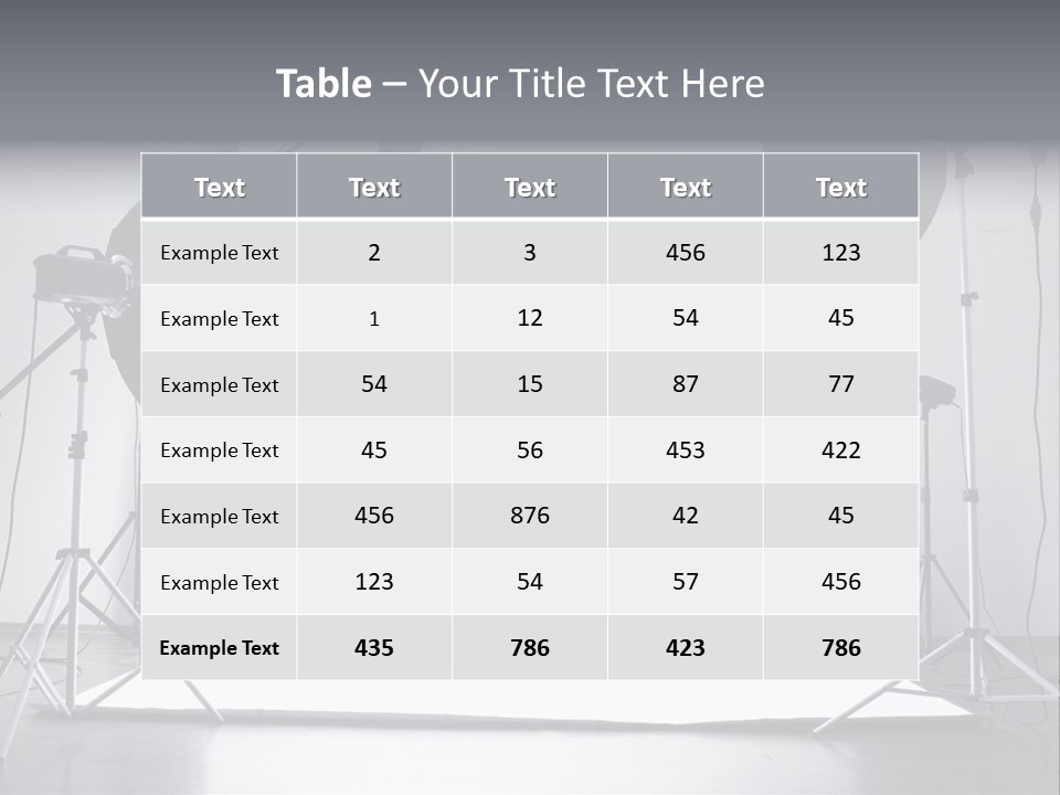 Photographing Professional Photograph PowerPoint Template