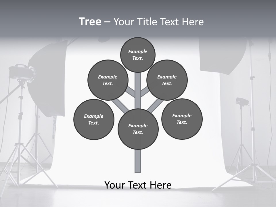 Photographing Professional Photograph PowerPoint Template