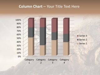 Rider Difficulty Stone PowerPoint Template