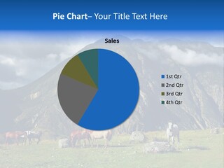 Morning Sunshine Field PowerPoint Template