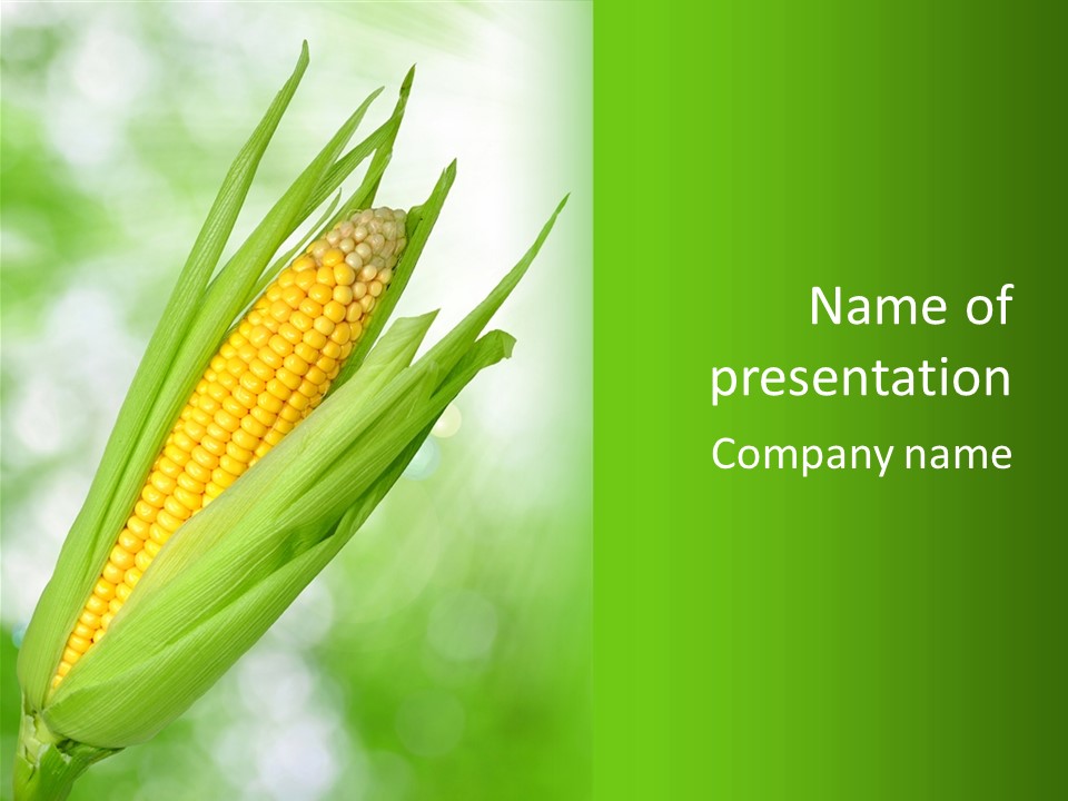 Food Bio Environmental PowerPoint Template