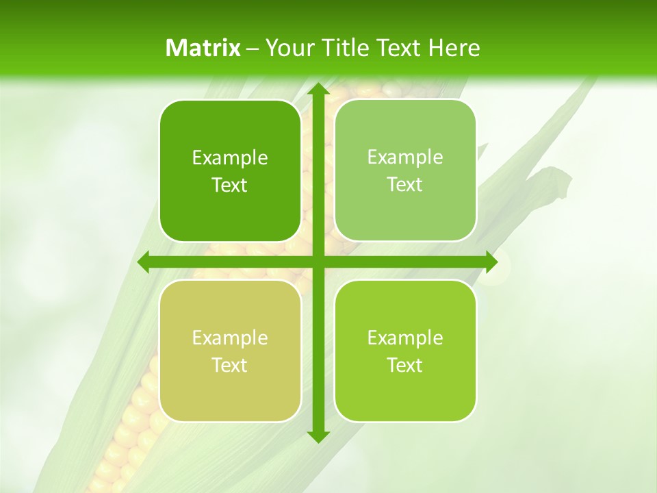 Food Bio Environmental PowerPoint Template
