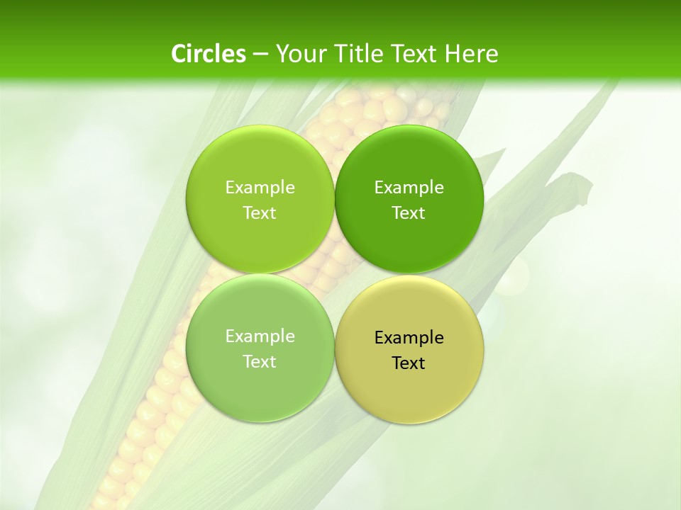 Food Bio Environmental PowerPoint Template