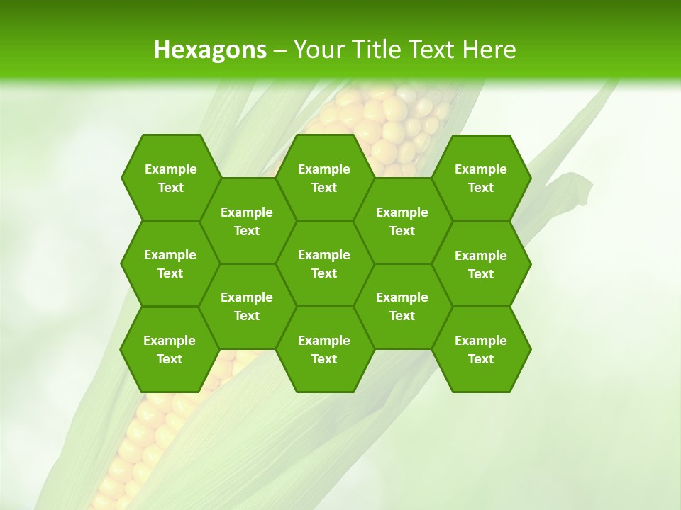 Food Bio Environmental PowerPoint Template