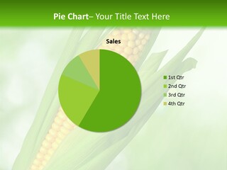 Food Bio Environmental PowerPoint Template