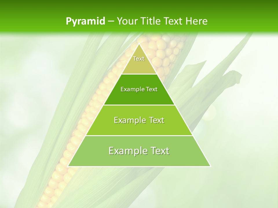 Food Bio Environmental PowerPoint Template