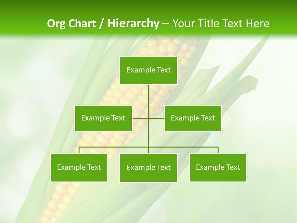 Food Bio Environmental PowerPoint Template
