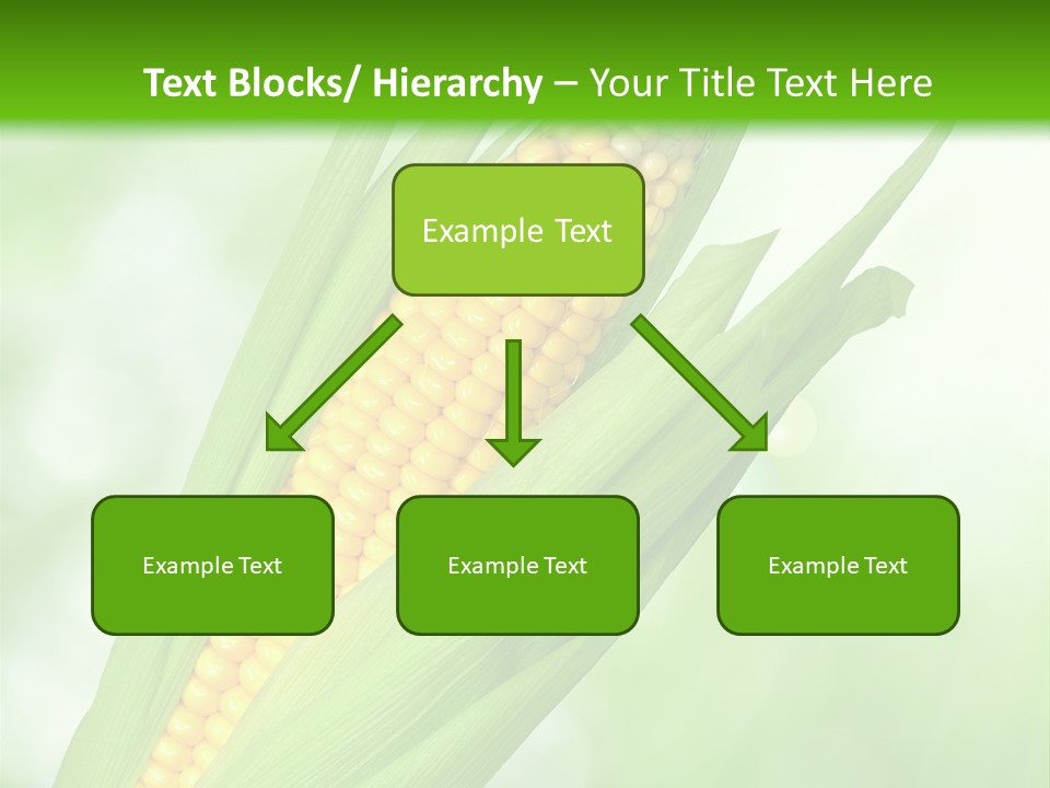Food Bio Environmental PowerPoint Template