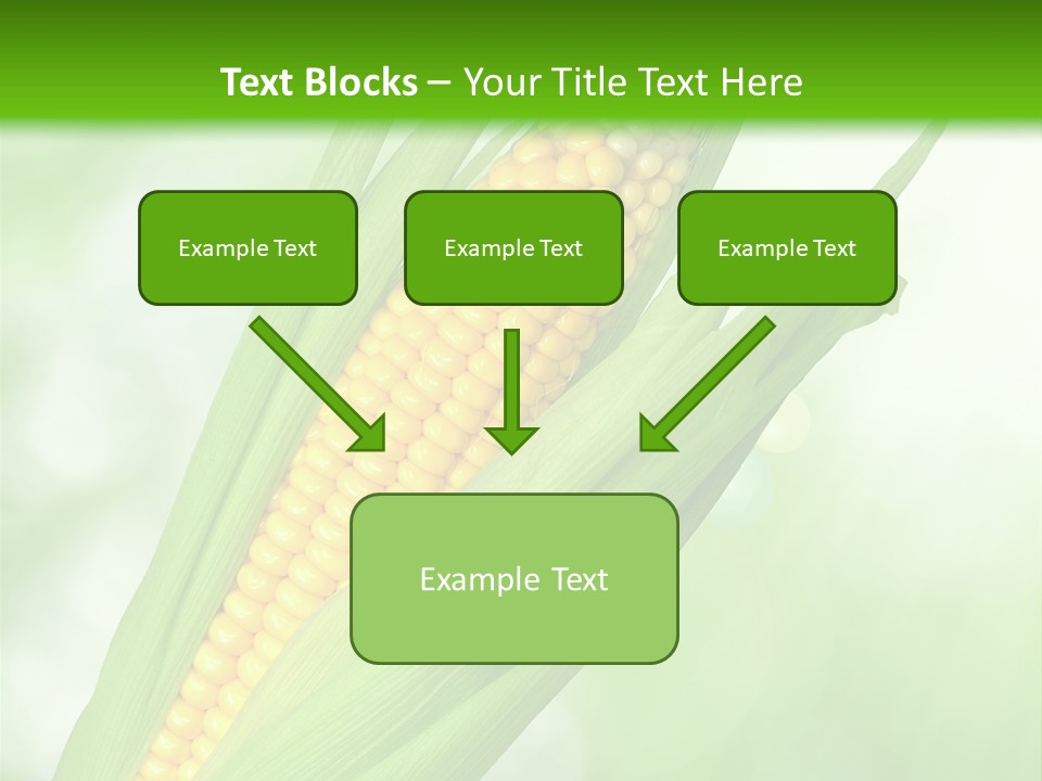 Food Bio Environmental PowerPoint Template