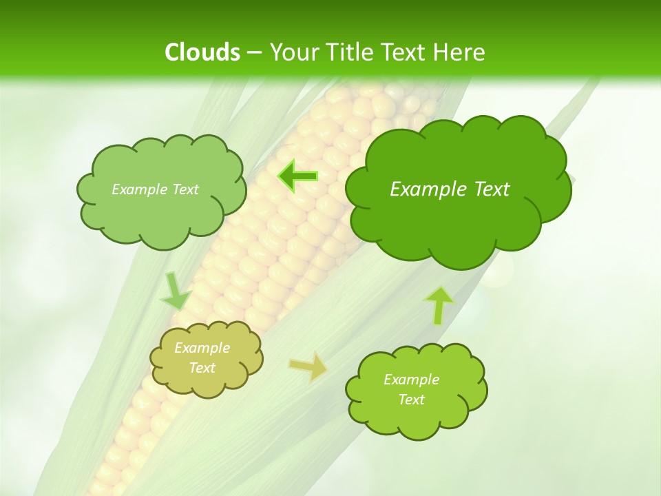 Food Bio Environmental PowerPoint Template