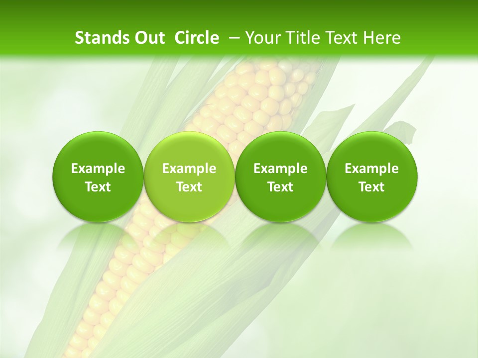Food Bio Environmental PowerPoint Template
