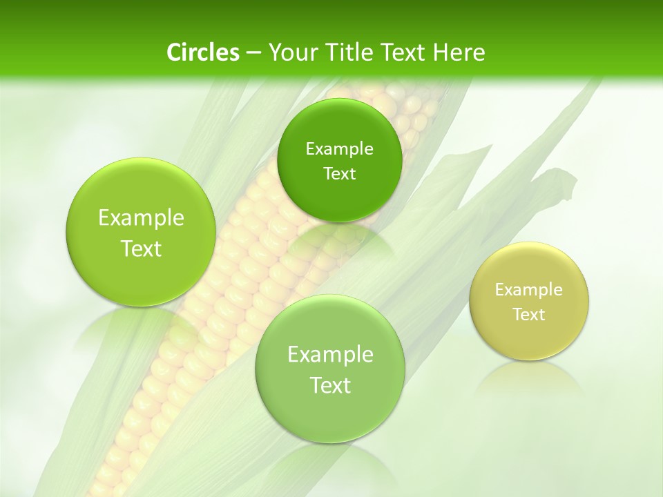 Food Bio Environmental PowerPoint Template