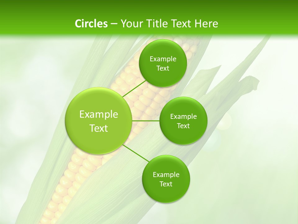 Food Bio Environmental PowerPoint Template