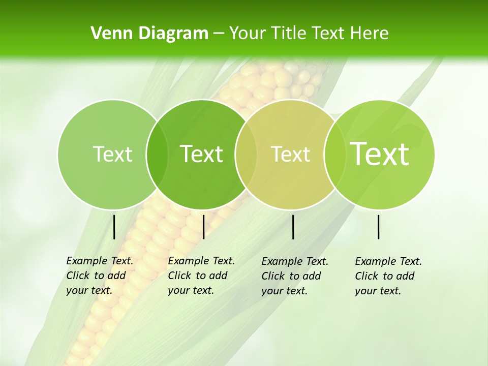 Food Bio Environmental PowerPoint Template