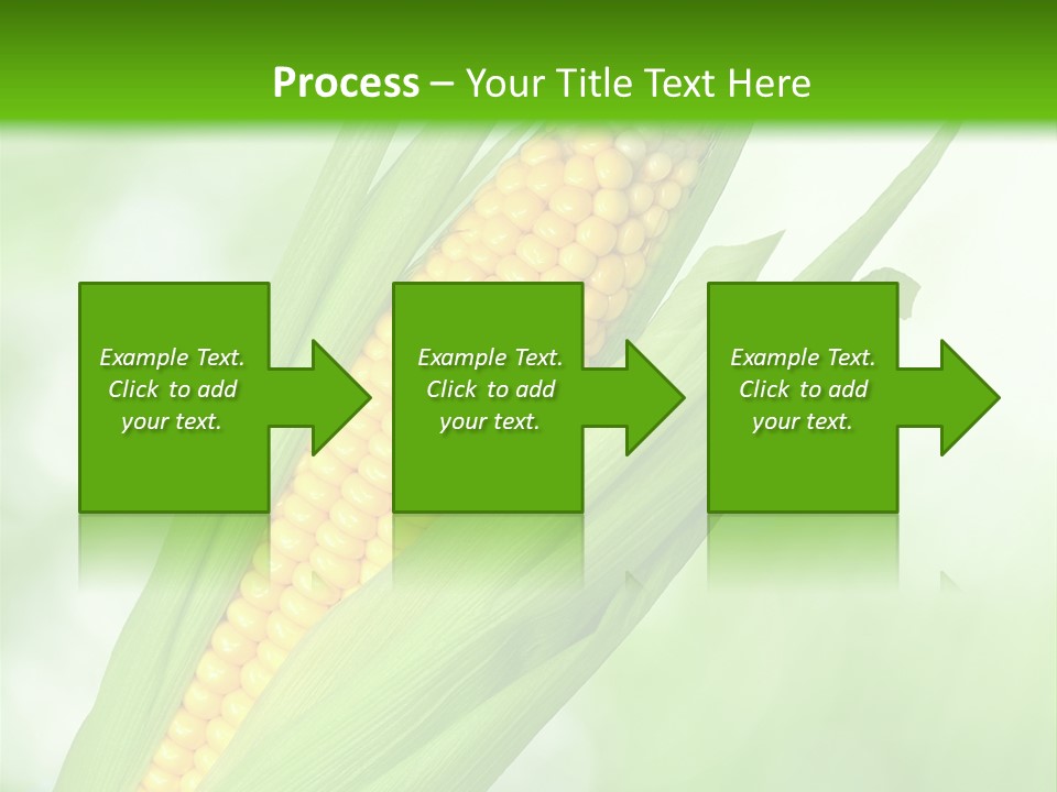 Food Bio Environmental PowerPoint Template