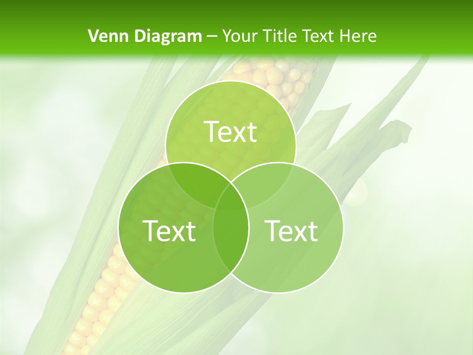Food Bio Environmental PowerPoint Template