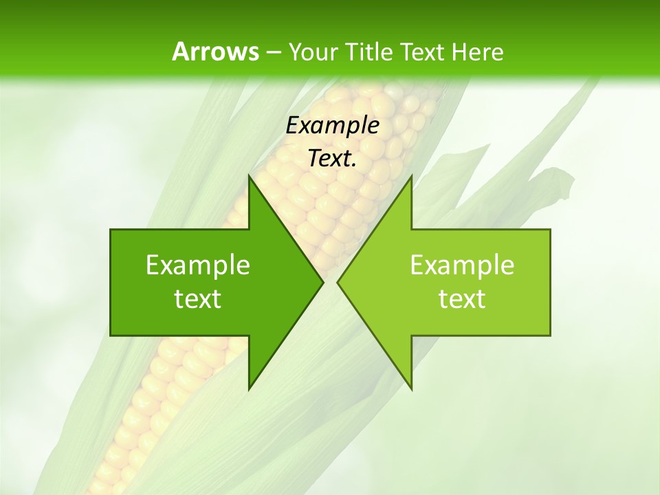 Food Bio Environmental PowerPoint Template