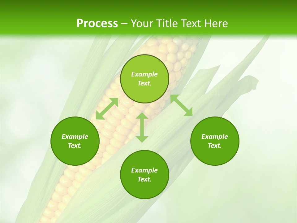 Food Bio Environmental PowerPoint Template