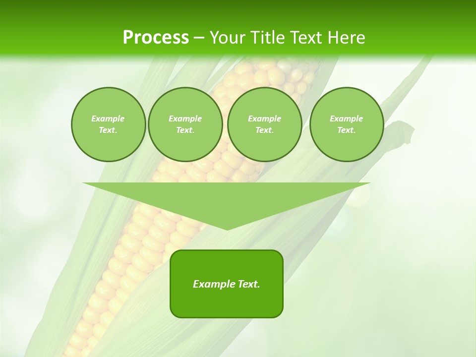 Food Bio Environmental PowerPoint Template